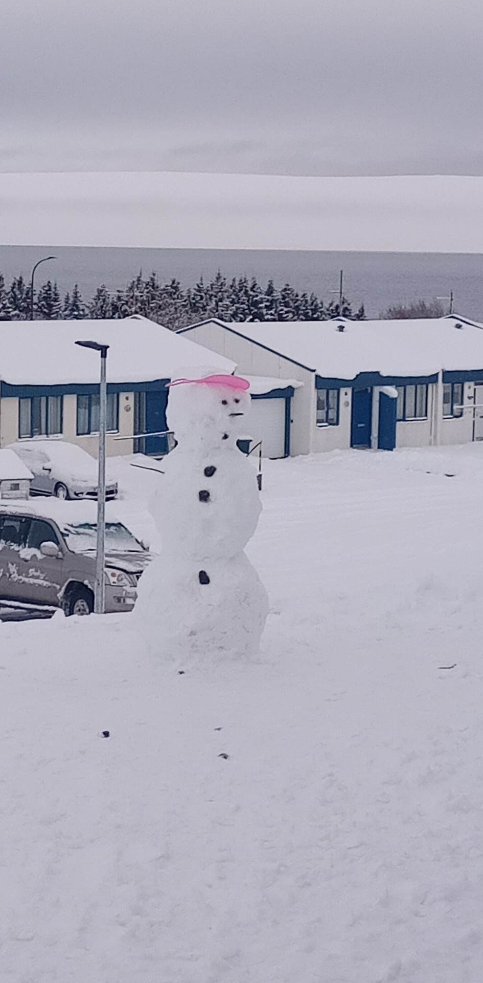 Gott veður og PALS hátíð