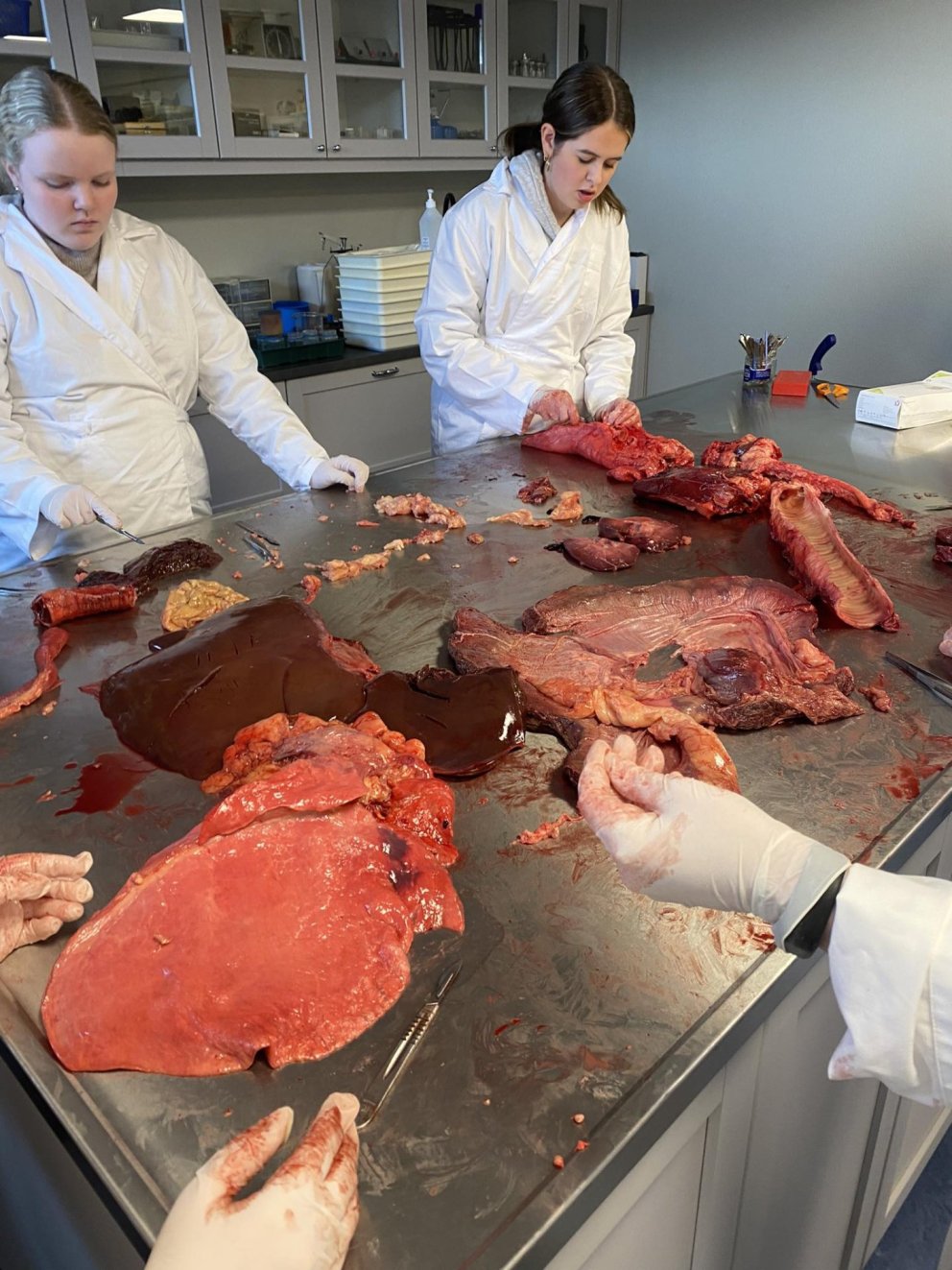 Verkleg náttúrufræði