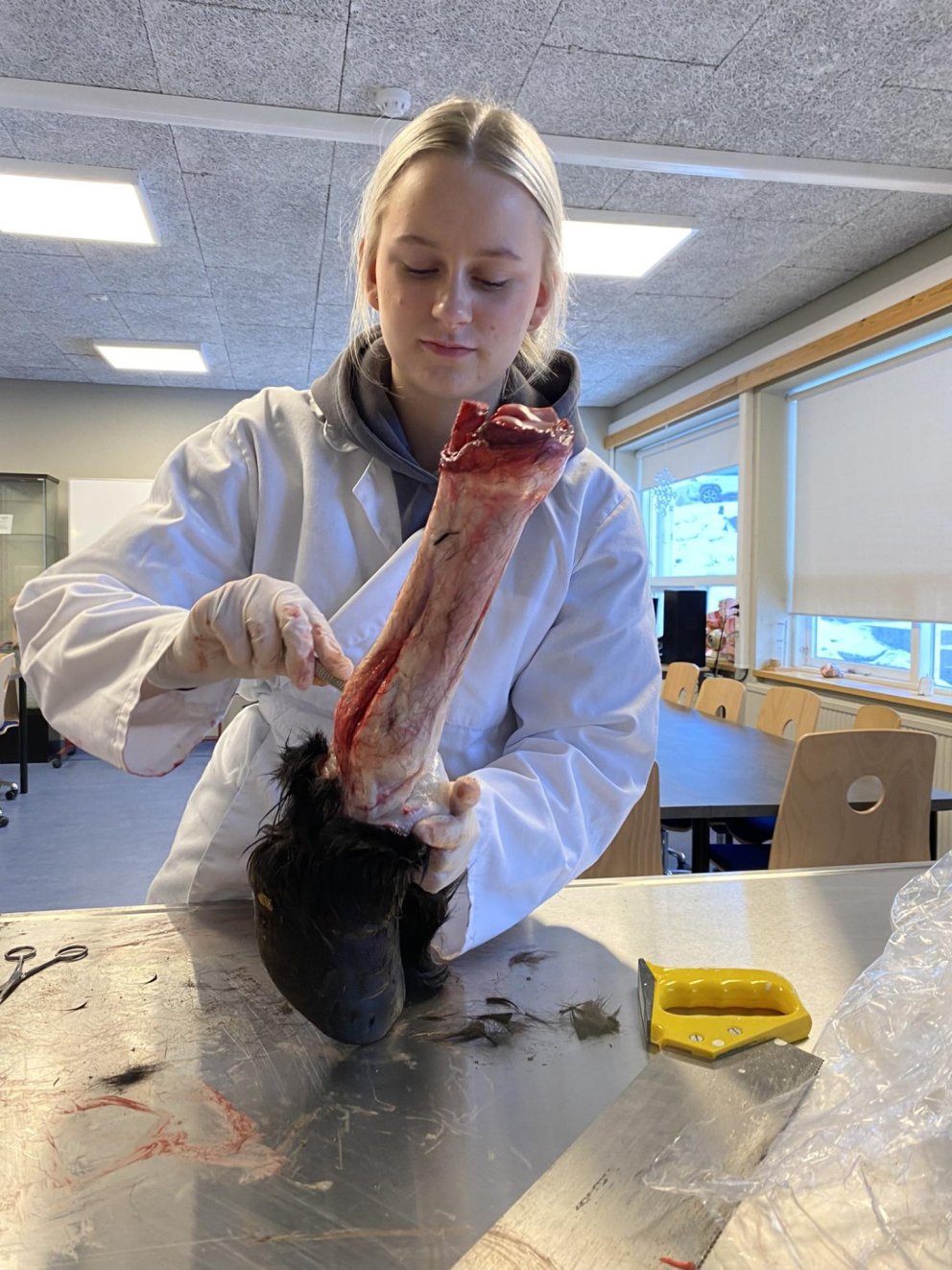 Valgreinar í lotu 3 og 4