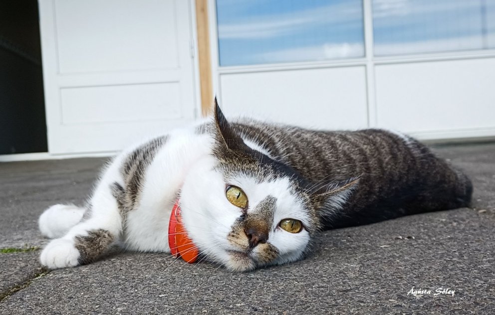 Myndir úr ljósmyndavali