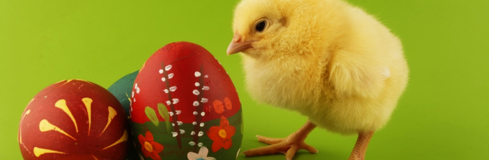 Framundan hjá nemendum