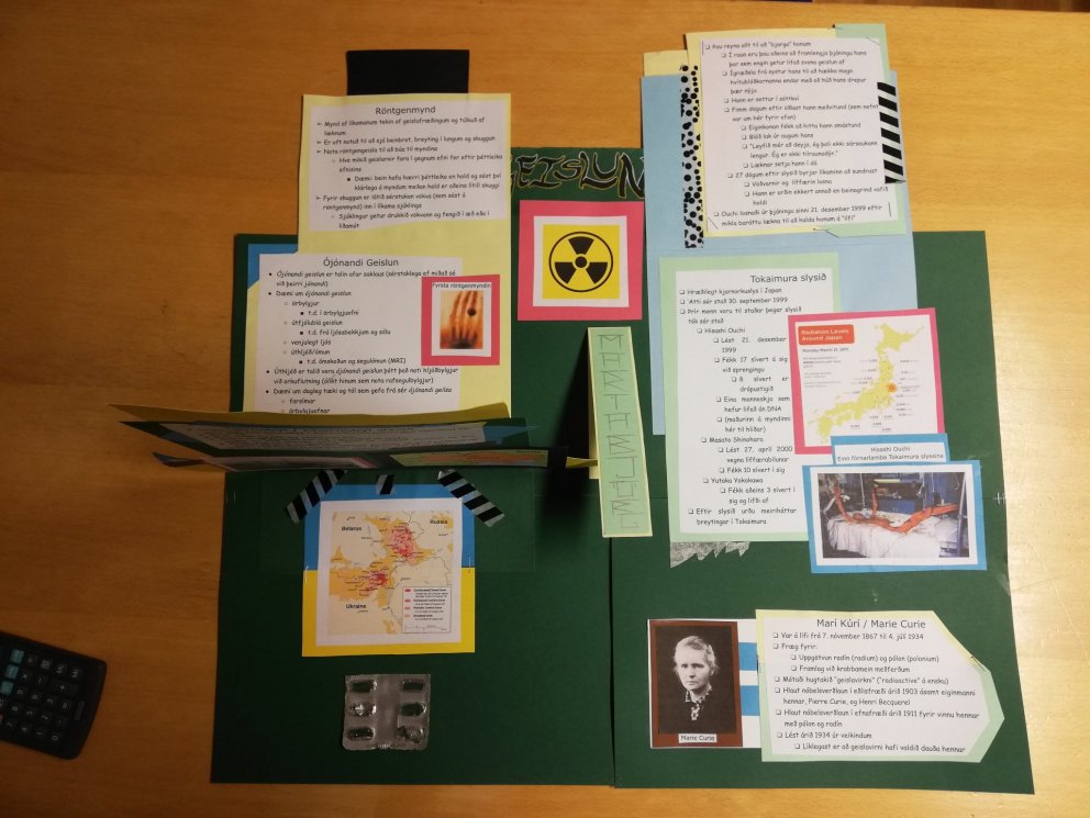 Vel unnið verkefni í samfélagsfræði