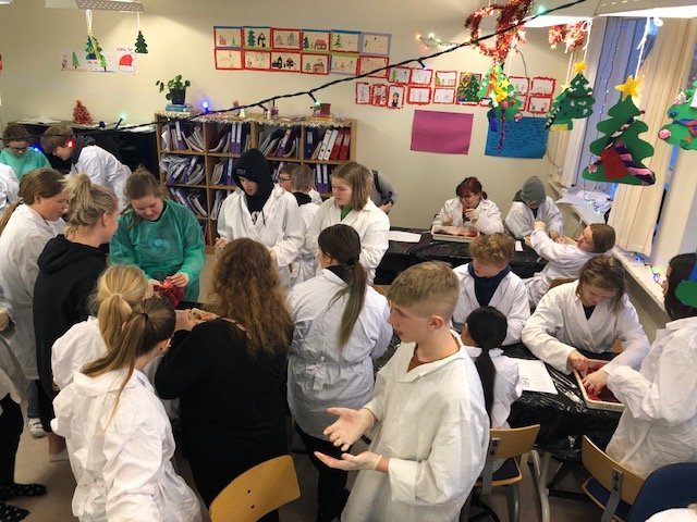 Fjörugur náttúrufræðitími í dag