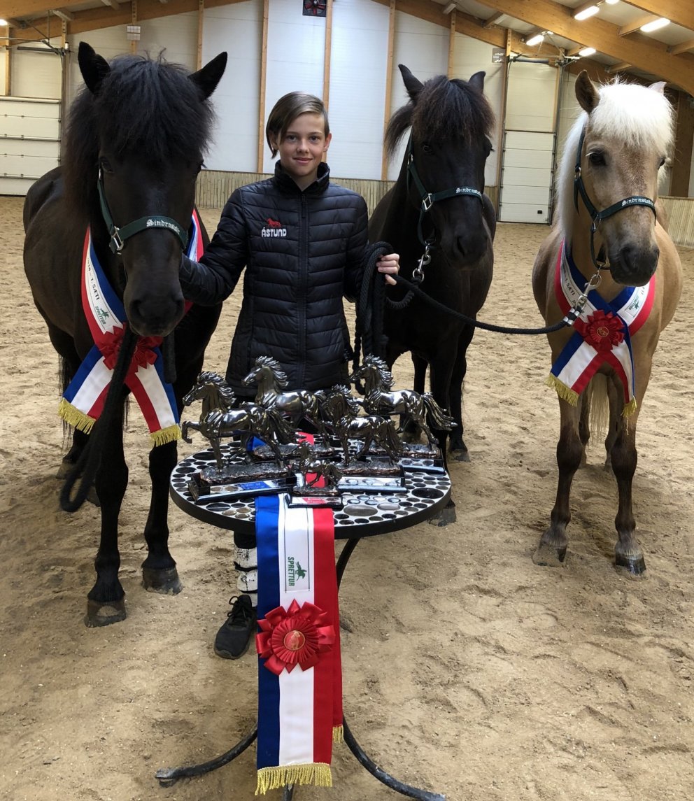 Góður árangur hjá Guðmari Hólm í hestamennskunni