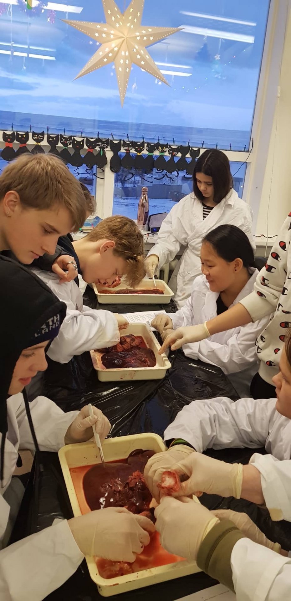 Valblað opið til 5.maí 2020