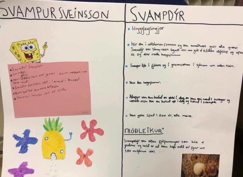 Verkefni 7.bekkjar í náttúrufræði