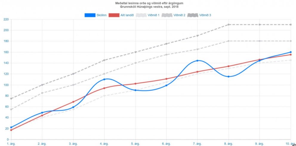 Lesfimi - áfangaskýrsla