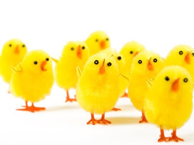 Páska-eggja-bingó!