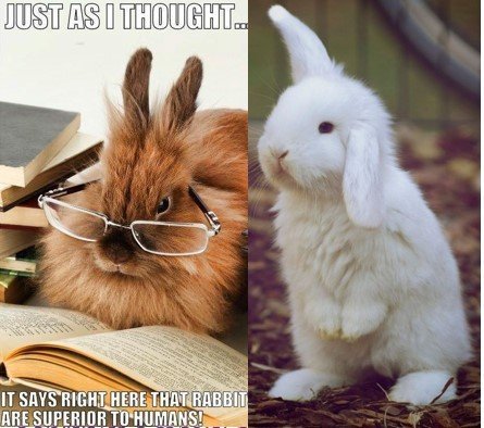 Lestrarátak 9. bekkur S og E & 10. bekkur.