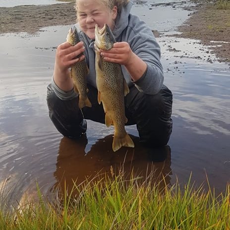 Veiðiferð í Miðfjarðarvatn