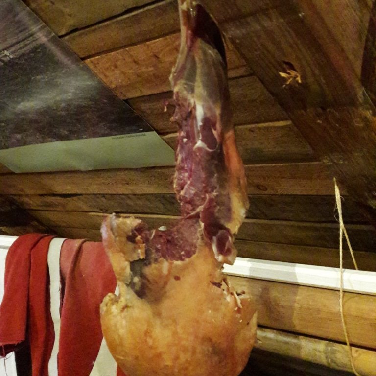 Heimsókn í Bardúsa