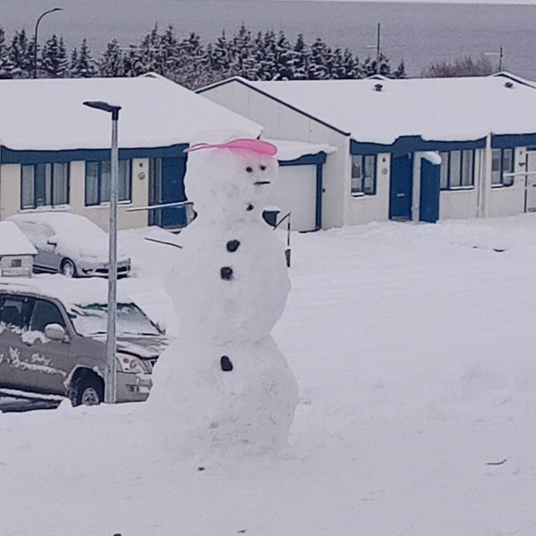 Gott veður og PALS hátíð