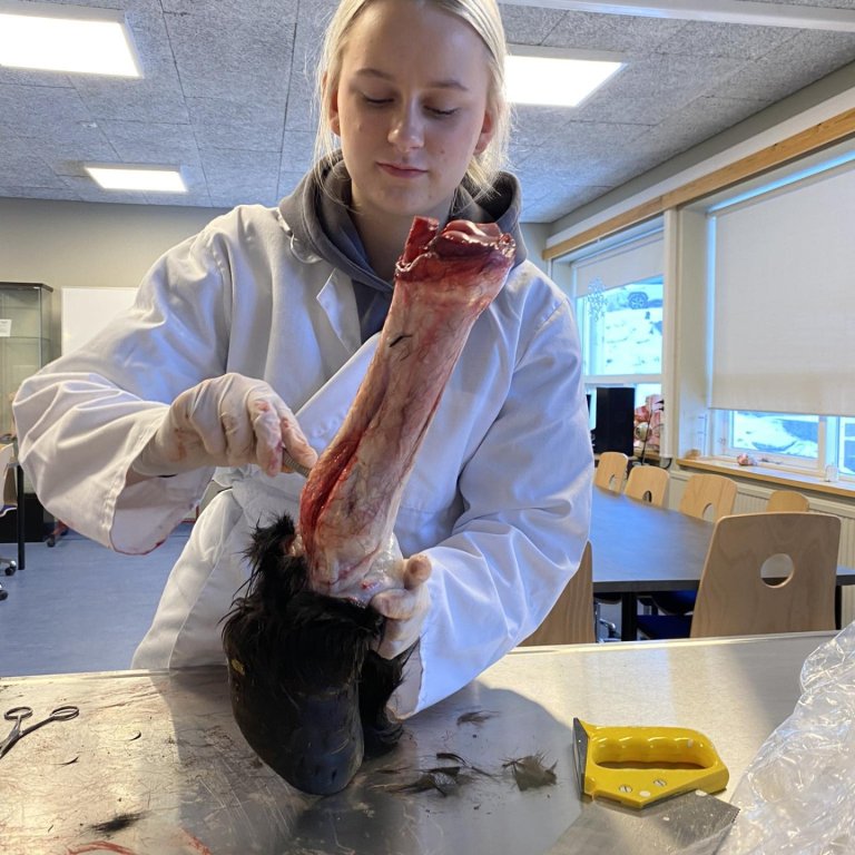 Valgreinar í lotu 3 og 4