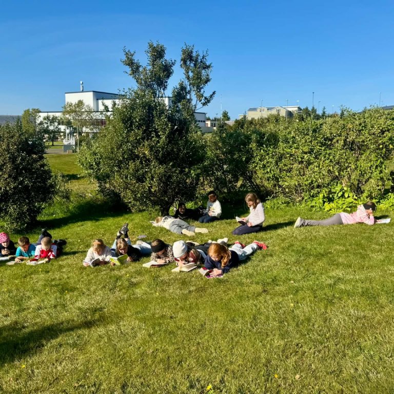 Stuðningsfulltrúi óskast við Grunnskóla Húnaþings vestra