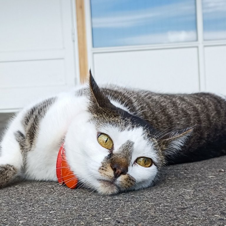 Myndir úr ljósmyndavali