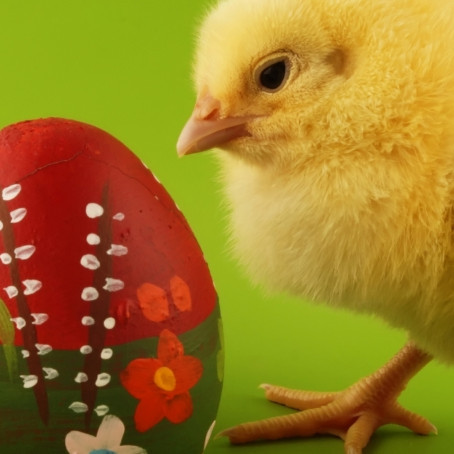 Framundan hjá nemendum