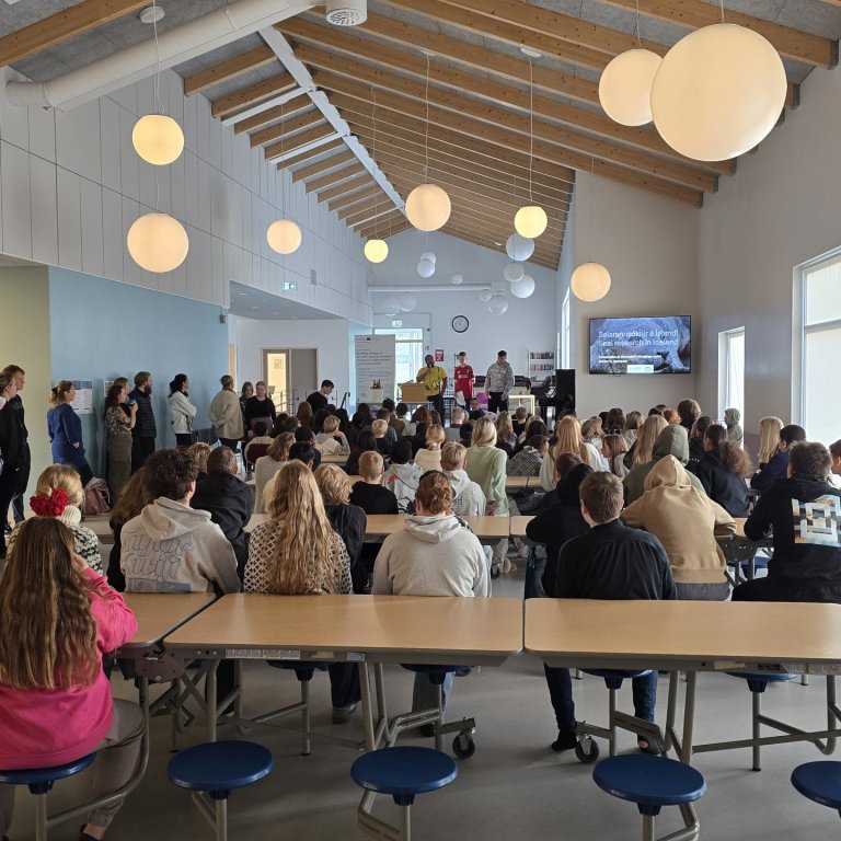 Erasmus+ verkefnið á Hvammstanga