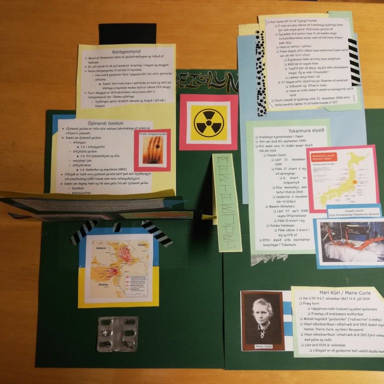 Vel unnið verkefni í samfélagsfræði