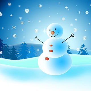 Jólaskreytingar í vali