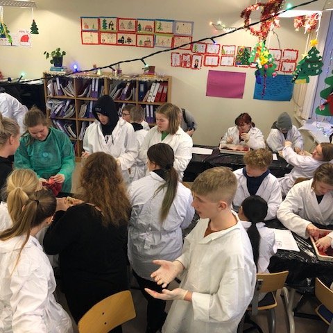 Fjörugur náttúrufræðitími í dag