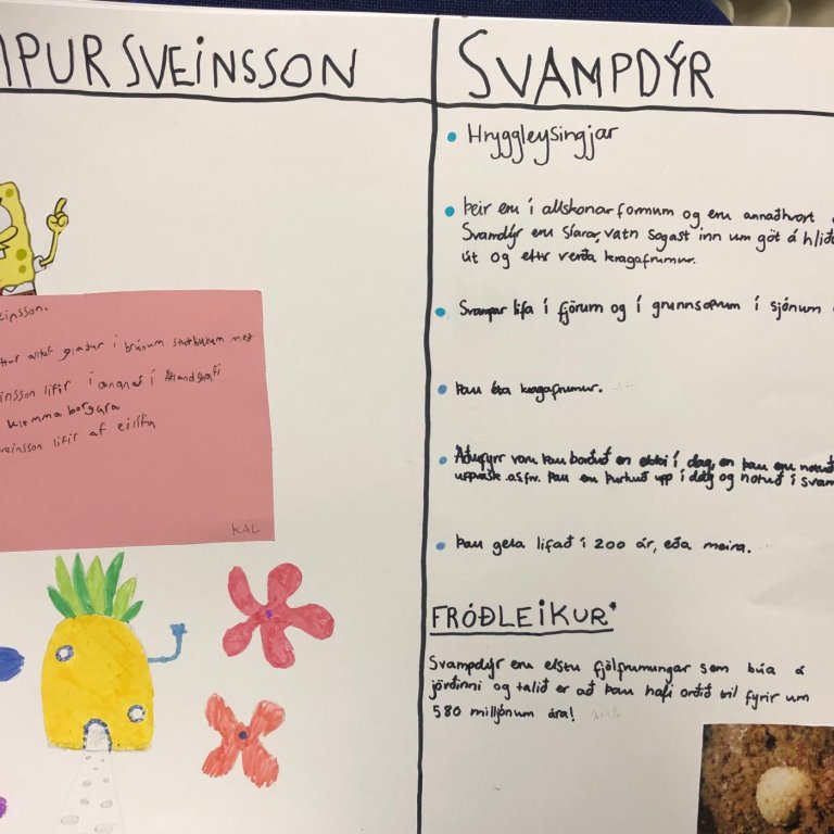 Verkefni 7.bekkjar í náttúrufræði