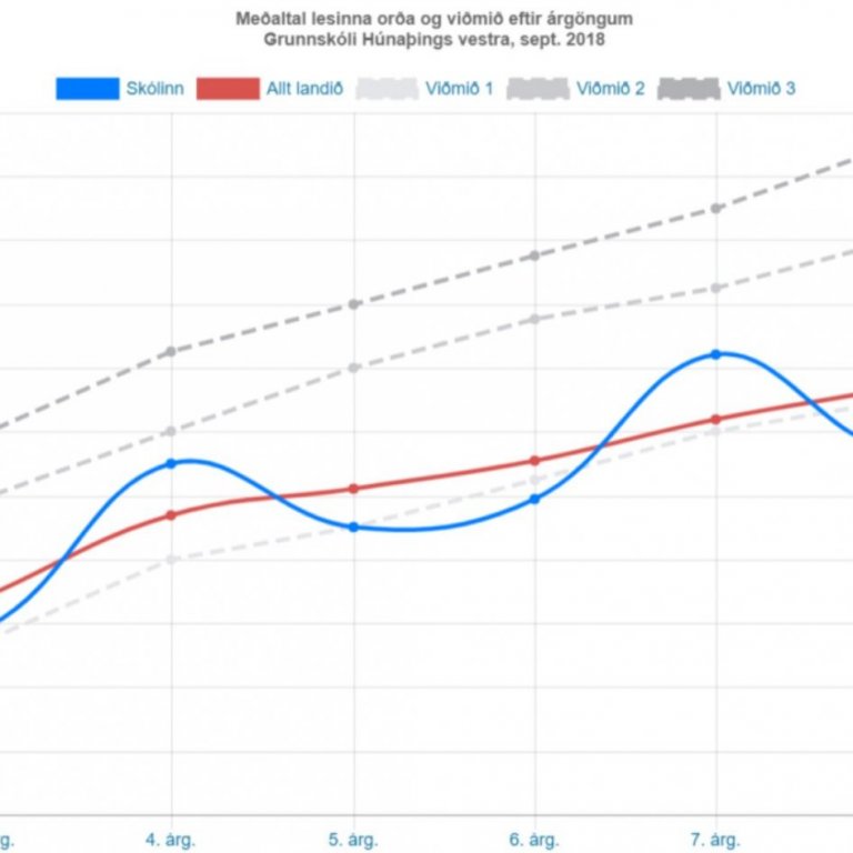 Lesfimi - áfangaskýrsla