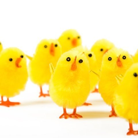 Páska-eggja-bingó!