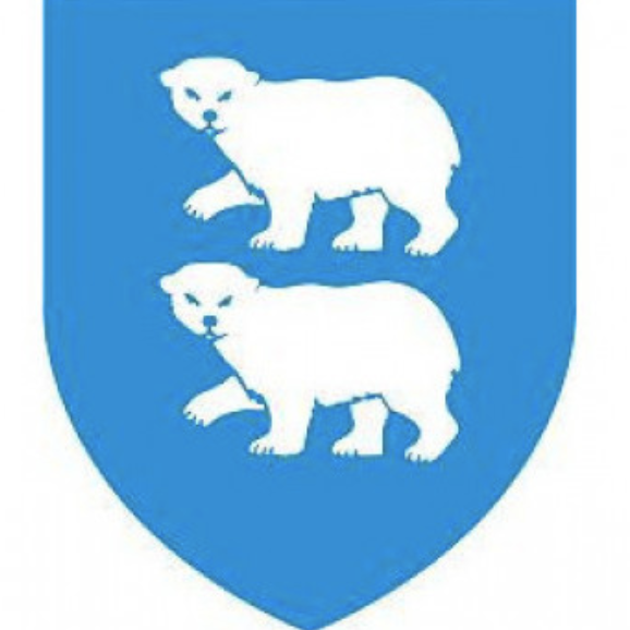 Fyrirspurnir vegna útboðs á leið 4