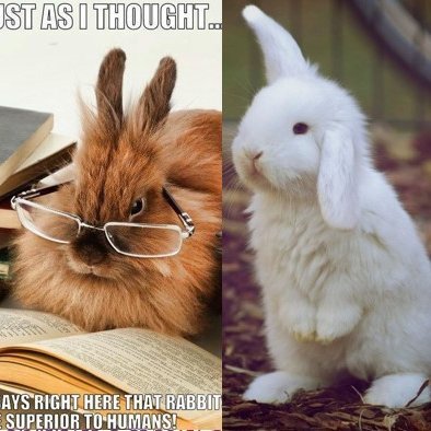 Lestrarátak 9. bekkur S og E & 10. bekkur.